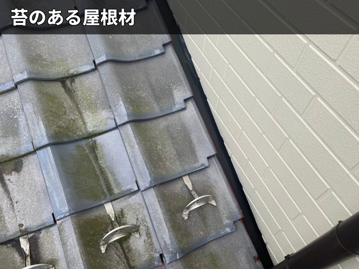 苔が付着した瓦屋根